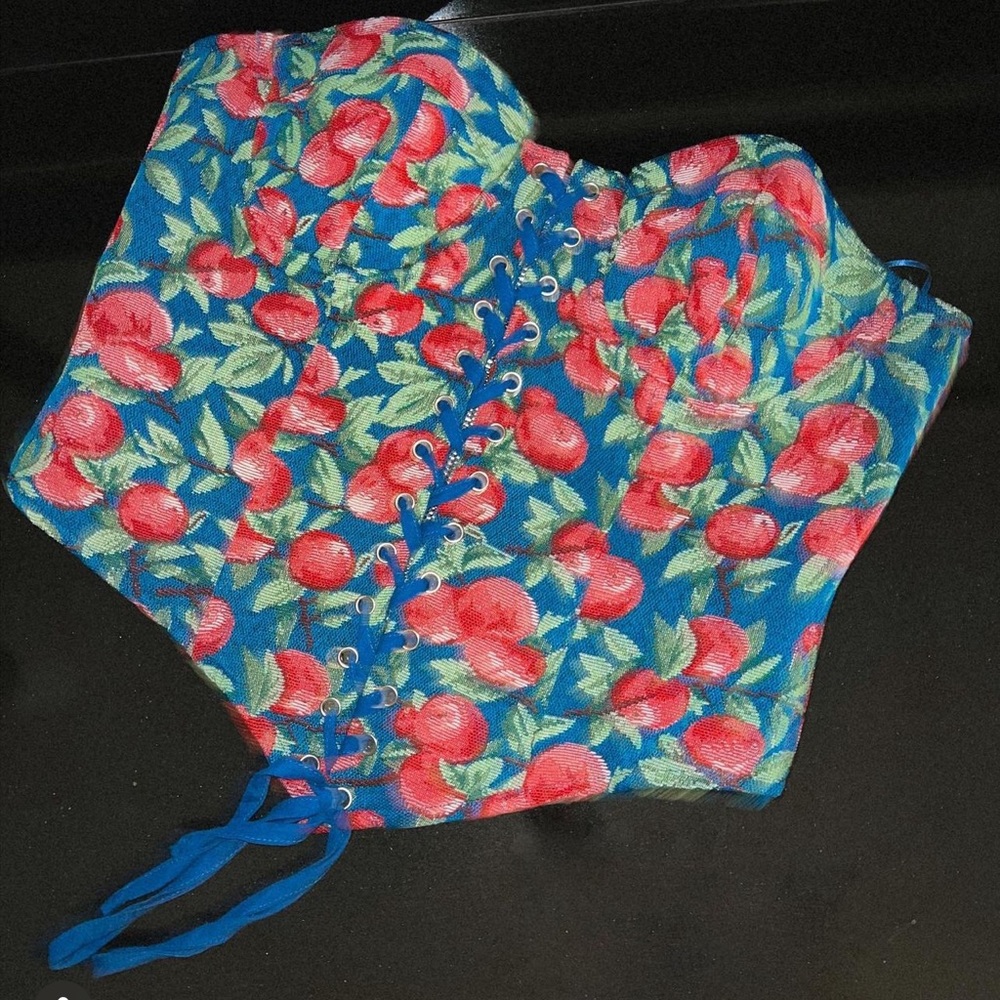 Corset Cherry Top NWT